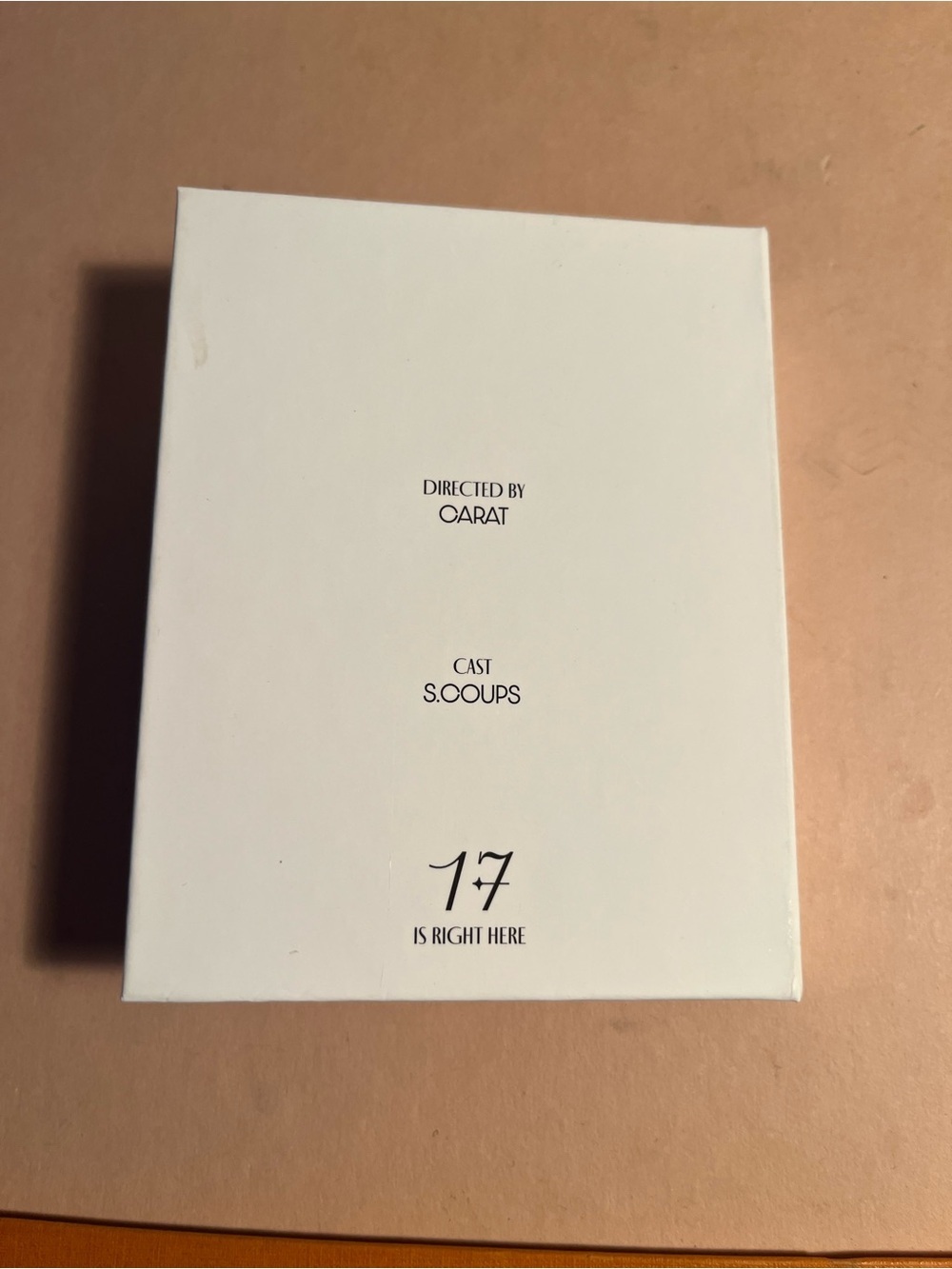 17 Is right here cast s.coups mini card holder - K- POP - Picture 5 of 6
